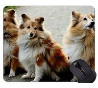Gaming Mouse Pad Retrato de un Perro Pastor Australiano, Sheltie Alfombrilla de ratón cómoda para Juegos y Oficina