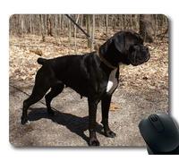 Gaming Mouse Pad, Rottweiler Puppy Dog, Costura de precisión, Mouse Pad Duradero