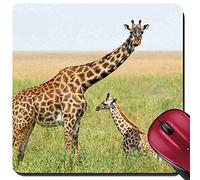 Gaming Mouse Pad, Una Jirafa Joven Y Su Madre Giraffa Camelopardalis Alfombrilla De Escritorio Multifuncional Alfombrilla De Ratón Antideslizante Alfombrilla Raton para Gamers Pc 25X30Cm