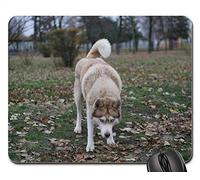 Gaming Mouse Pads, Alfombrilla de ratón, Look Husky Nature Husky Animal View Siberian Pets