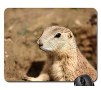 Gaming Mouse Pads, Alfombrilla de ratón, Prairie Dog Animals Wildlife Photography Zoo Nager 2