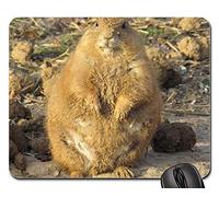Gaming Mouse Pads, Alfombrilla de ratón, Prairie Dog Fat Wildlife Nature Wilderness Small