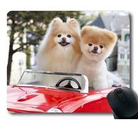 Gaming Mouse Pads, Dog Lovers Great Dane Dog, Costura de precisión, Mouse Pad Duradero