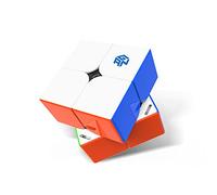 GAN 251 M Pro Cubo de Velocidad 2x2 Magnético,Stickerless Speed Cube Mini Cubo Mágico 56 Imanes/3 Tipos de Magnetismo/4 Tipos de Elasticidad,Juguete para Principiantes (Superficie esmerilada)