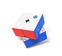 GAN 251M Leap Cubo de Velocidad 2x2 magnético, Stickerless Speed Cube Mini Cubo Mágico con 56 Imanes/3 Tipos de Magnetismo/4 Tipos de Elasticidad,Juego de Puzzle para Principiantes(UV Coated)