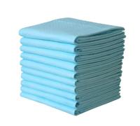 GANAZONO 10piezas Almohadillas Desechables Absorbentes Para Mascotas y Adultos Impermeables y Transpirables Para Entrenamiento De Perros Protección De Sofás y Camas y Postparto