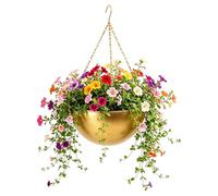 Ganchos para Macetas Colgantes | Hierro Autorriego Ahorro De Espacio Moderno,Soportes Metálicos Para Macetas De Pared - Para Balcón Jardín Patio Porche Terraza Salón Dormitorio Cocina Oficina