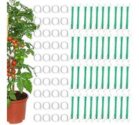 Ganchos para tomate con cuerda, ganchos de soporte para tomate con cuerda, soporte de fijación de tallo con 40 clips para berenjena, sandía, pimienta, flor, pepino