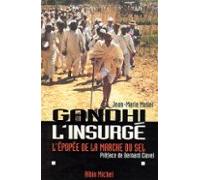 Gandhi Linsurgé (ebook)