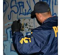 Gangland - Gangland: Divide and Conquer [USA] [DVD]