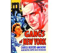 Gangs of New York [USA] [DVD]
