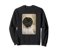 Gangsta Kitty Gangster Black Cat Meme Funny Cats Gang Humor Sudadera