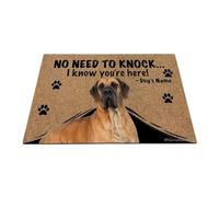Ganshan Bi Felpudo personalizado con perro divertido Gran Danés Bienvenido alfombra No hay necesidad de llamar Sé que estás aquí regalo para amantes de los perros 35.4" x 23.6", estilo 3