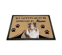 Ganshan Bi Personalizado acuarela collie bienvenida felpudo todos los huéspedes deben ser aprobados por el perro alfombra regalo para amantes de los perros 27.5" x 17.7"