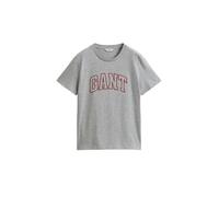 GANT Camiseta gris moteado / rojizo M EUR
