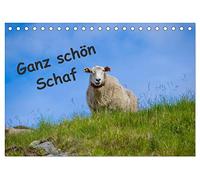 Ganz schön Schaf (Tischkalender 2026 DIN A5 quer), CALVENDO Monatskalender: Schafe hier und Schafe dort