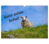 Ganz schön Schaf (Wandkalender 2026 DIN A3 quer), CALVENDO Monatskalender: Schafe hier und Schafe dort
