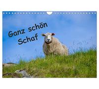 Ganz schön Schaf (Wandkalender 2026 DIN A4 quer), CALVENDO Monatskalender: Schafe hier und Schafe dort