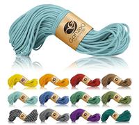 Ganzoo Cuerda Paracord 350 Tipo 1, 2,5 mm y 30 m, Nylon/poliéster con núcleo de Nylon, Icemint, cordón para Camping, Atado de Tienda, Nudos, Pulseras, Collar y Correa de Perro, Uso Diario