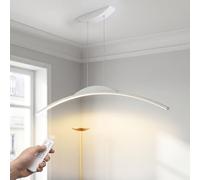 GaoHX Lámpara Colgante LED Moderna de Arco, Lámpara de Techo Suspensión Lineal Regulable, Iluminación Colgante de Mesa de Comedor, Lámpara de Araña para Isla de Cocina, Altura Ajustable(White,120cm)
