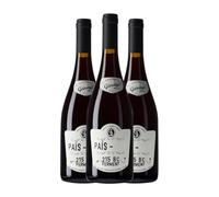 Garage Wine 215 BC Ferment Listán Negro Valle del Maule 75 cl Vino tinto (Caja de 3 Botellas de 75 cl)