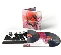 beautifulgarbage (20th Anniversary) (Vinyl) (Importación USA)