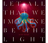 Let All That We Imagine Be The Light - Vinilo