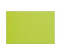 García de Pou 200 Unidades - 171.02 Mantelines Spundbond, 60 G/M2, 30 x 40 cm, Verde Lima
