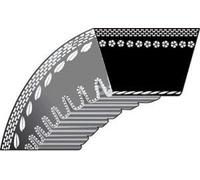 GARDEMAX Correa de transmisión compatible con Castel Garden, Stiga 46PD, Turbo 53 Combi, MULTICLIP 50