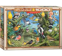 Garden Birds by Joahn Francis, 1000 Piezas