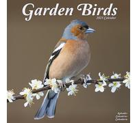 Garden Birds Calendar 2025 Square Birds Wall Calendar - 16 Month
