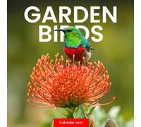 Garden Birds Calendar 2027: Backyard Bird Photography