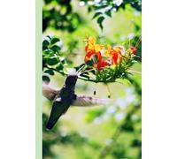 Garden Hummingbird Journal: Nature-Themed Notebook for Daily Writing, Journaling, School Notes & Creative Ideas | 100 Lined Pages, 6×9 | Perfect for Students, Teens, Bird Lovers & Nature Enthusiasts