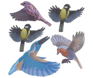 GARDIGO® Adhesivos Anticolisión para Aves - Set de 5 | Siluetas Adhesivas para Invernaderos | Protección de Ventanas Contra el Impacto de Aves | Pegatinas de Pájaros | Adhesivos para Ventanas