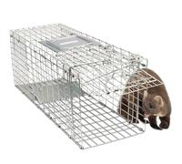 Gardigo® Jaula & Trasportín Plegable de Metal para Animales Vivos | Trampa de captura de gatos, perros, conejos, roedores - 66 x 23 x 26 cm
