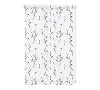 GARDINIA Digiprint - Estor Enrollable sin taladrar, con Pinzas, Opaco, protección Visual, antirreflejos, luz Diurna para Ventanas, diseño de Gatitos de Sauce, Color Blanco, 110 x 150 cm