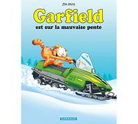 Garfield - Garfield est sur la mauvaise pente (Garfield, 25)