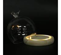 GARIOUANS Cubierta de Vidrio para Flor Eterna de 12 CM Base de Madera y Luz Cálida Amarilla Funda Decorativa Multifunción para Pasteles y Postres Adecuado para Fiestas de Cumpleaños y