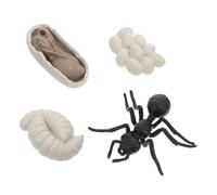 GARIOUANS Educativo de Modelos de Hormigas Obreras Crecimiento Ciclo de Vida Realista Juguetes Cognitivos para Exhibición Didáctica para Aulas y Hogar