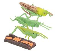 GARIOUANS Juguetes Educativos De Animales para Niño Niña Años Modelo Ciclo De Vida Realista Figuras De Animales Duraderas y Prácticas para Aprendizaje Temprano