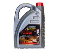 Garland 7100000054 - aceite motor 4t 5 l. para lubricantes