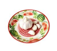 Garlic Grater Plate | Ceramic Garlic Grater Dish | Fruit Kitchen Gr