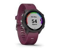 Garmin Forerunner 245, GPS Running Smartwatch with Advanced Dynamics, Slate Gray