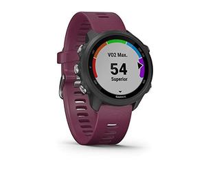 Garmin Forerunner 245, GPS Running Smartwatch with Advanced Dynamics, Slate Gray