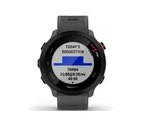 Garmin Forerunner 55 TU Gris/argent