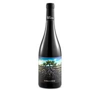 IGP Ribera del Queiles Garnacha Salvaje del Moncayo 2018