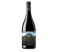 GARNACHA SALVAJE MONCAYO vino tinto de Ribera del Queiles botella 75 cl (Paquete de 6)