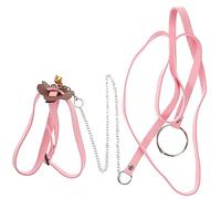 Garneck 1 Correa para Cuerda para Pasear A Mascotas Correa para Cuerdas De Interior para Animales Cuerda De Remolque De Terciopelo Coreano Rosa
