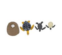 Garneck 1 Juego Simulación del Ciclo para Juguete Cognitivo Educativo y Decoración Comprender Ciclo de Crecimiento Animal