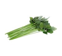 Garneck 30 Piezas Tallo de Rosa Artificial con Hojas, Material Verde para Bricolaje, Ideal para de Flores y Eventos de Amor